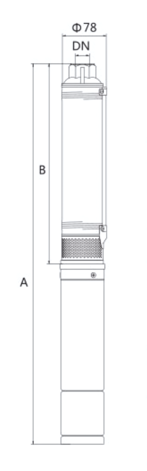 Dimensions & Weight